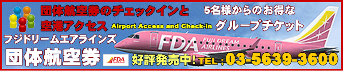 tWh[GACY̒c̍q󌔂̃`FbNCƋ`ANZXɂ